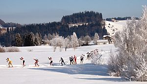 Cross-country skiing Schwedentritt