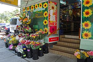 Dee-why-fisher-road-flowers