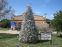 Deer Horn Tree, Junction, TX IMG 4343