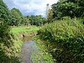 Donington and Albrighton Nature Reserve 01