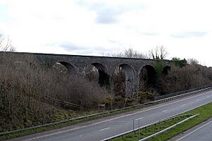 Dromore Viaduct - geograph.org.uk - 352401
