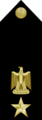 EgyptianNavyInsignia-Commander-shoulderboard