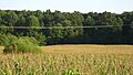 Ennis Site with cornfield