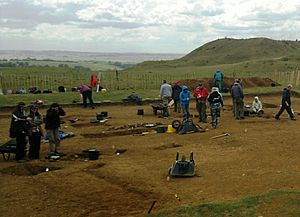 Excavations at Burrough Hill, 2011