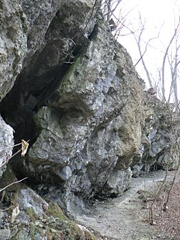 Fairview Caves1