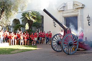 Fleming cannon firing