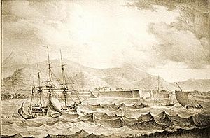 Gamba - view of sukhumi fortress