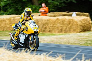 Goodwood Festival of Speed 2015 (26640178332)