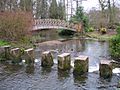 Harewood stepping stones