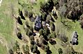 Heriot-Moise House Aerial