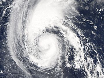 Hurricane Florence 2006.jpg