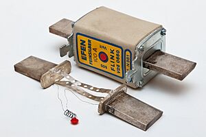 Industrial NH1 Fuse 100A