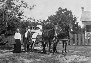 Kelley family members standing next to and sitting in a mule-driven carriage - Hopewell, Florida