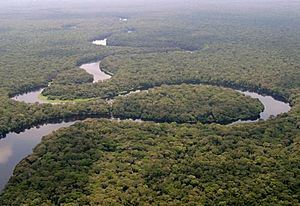 La rivière Lulilaka, parc national de Salonga, 2005