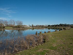 Lago de Olárizu 01