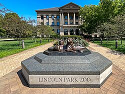 Lincoln Park Zoo, Chicago.jpg