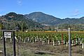 Mount Saint Helena, viewed from Napa Valley