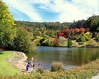 Mt Lofty Botanic Garden Lake
