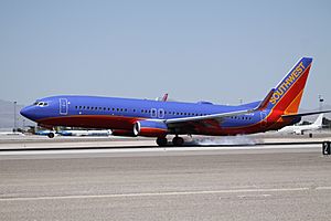 N8313F Boeing 737 Southwest (9067853256)