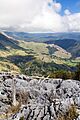 NZ010415 Takaka Hill Walkway 02