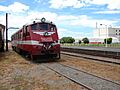 NZR RM class Standard 03