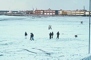 NieveEnPlayaGrande