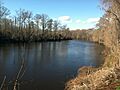 Nottoway River