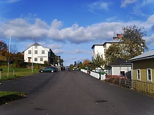 Nygatan i Boxholm, den 12 oktober 2008, bild 4.JPG