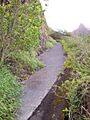 Old Pali Highway