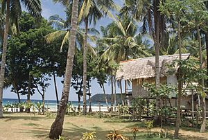 Palawan - Tropical Hut