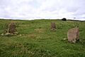 Park of Tongland Standing Stones
