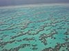 Part of Great Barrier Reef from Helecopter.JPG