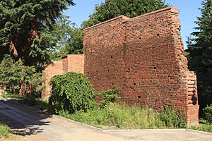 Pdsoki fragment murów miejskich przy ul Marii Ludwiki w Koszalinie 01