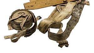 Pelli di foca - MUSE