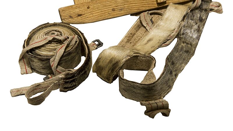 Pelli di foca - MUSE