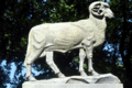 Ram statue, Fordham Rose Hill