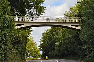 Reigate Hill footbridge