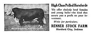 RennerStockFarmAd