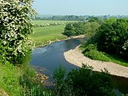 River Swale near Brompton-on-Swale