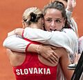 Schmiedlová & Kužmová Fed Cup