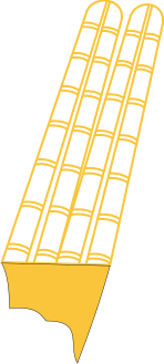 Shuti crown of Amun