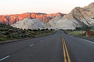 Snow Canyon - Road