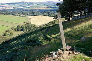 Southern Upland Way above Lauderdale - geograph.org.uk - 2560725