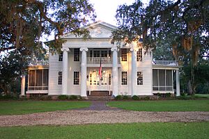 Susina Plantation 2008