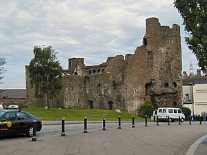 Swansea Castle.DSC00521
