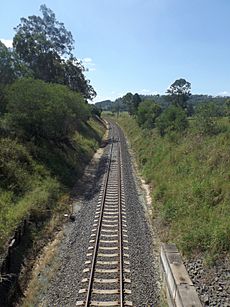 Sydney Brisbane railway corridor at Josephville, Queensland