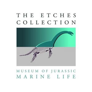 The Etches Collection Logo.jpg