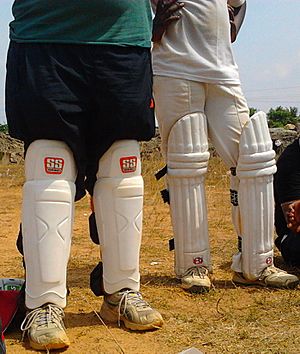 The wicketkeeping and batting pads. (Image has been cropped for better representation)