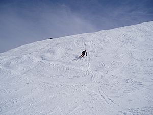 Thredbo skiing