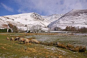 Towards Blease Gill - geograph.org.uk - 784017.jpg